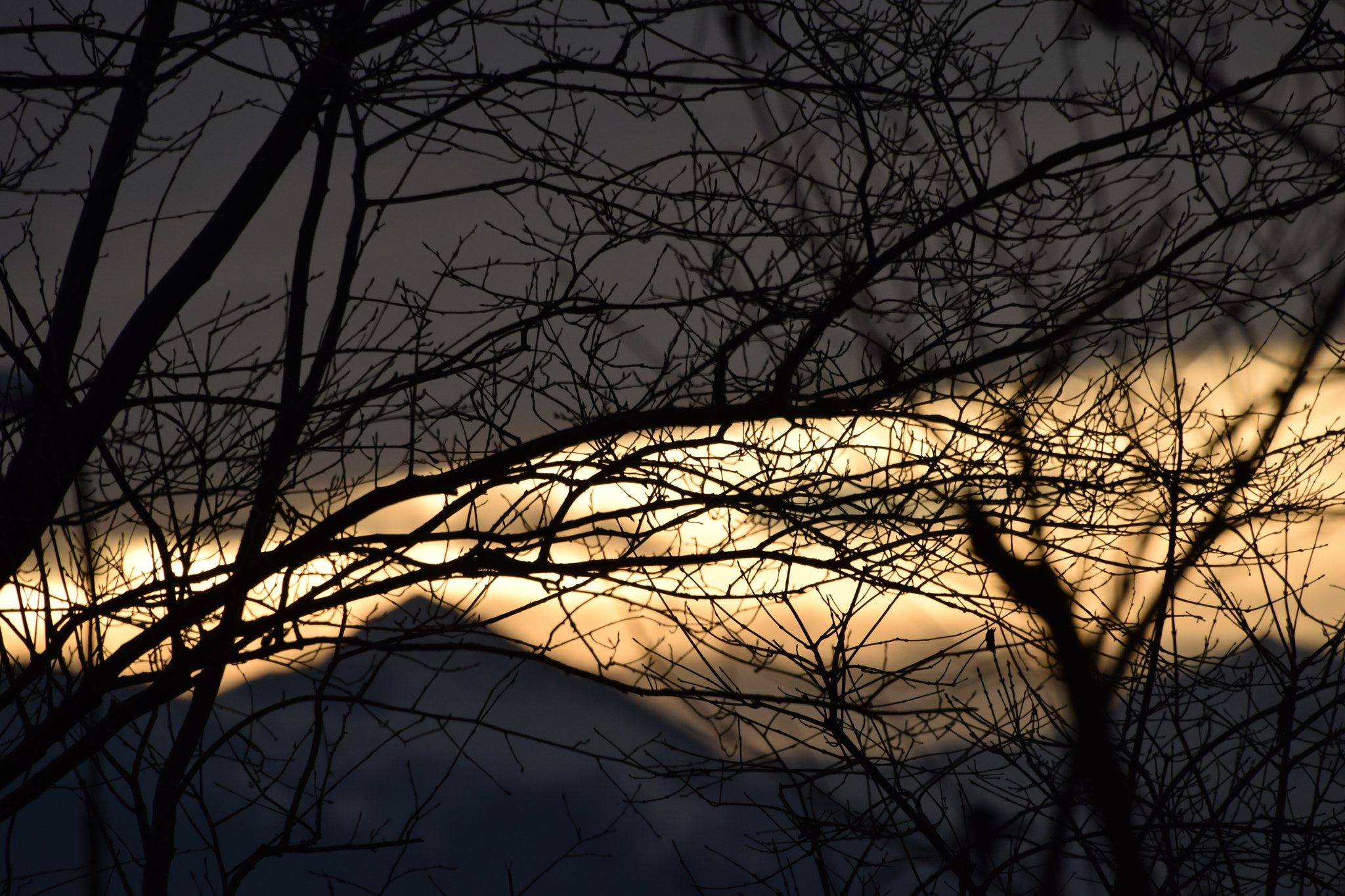 Nikon D3300 sample photo. Amanecer en austria photography