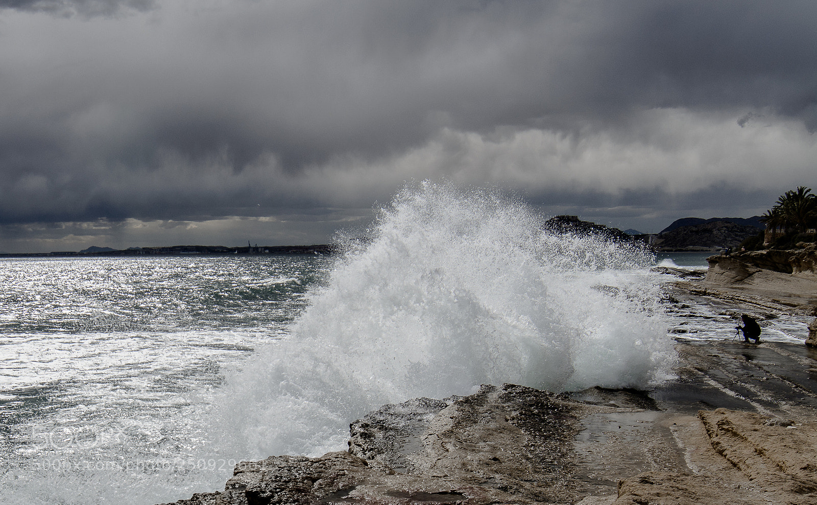 Nikon D7100 sample photo. Untitled photography