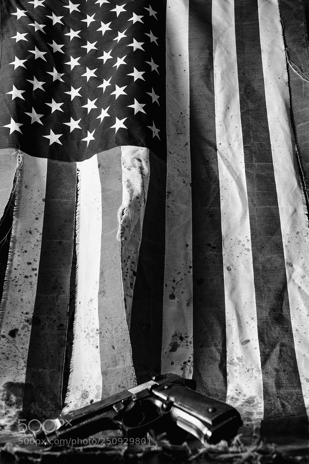 Nikon D7100 sample photo. I pledge allegiance to photography