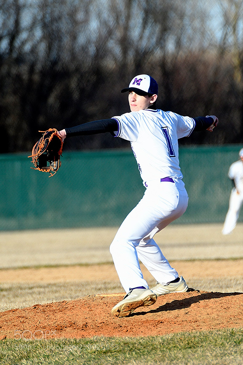 Nikon D500 sample photo. 3-22_0178.jpg photography