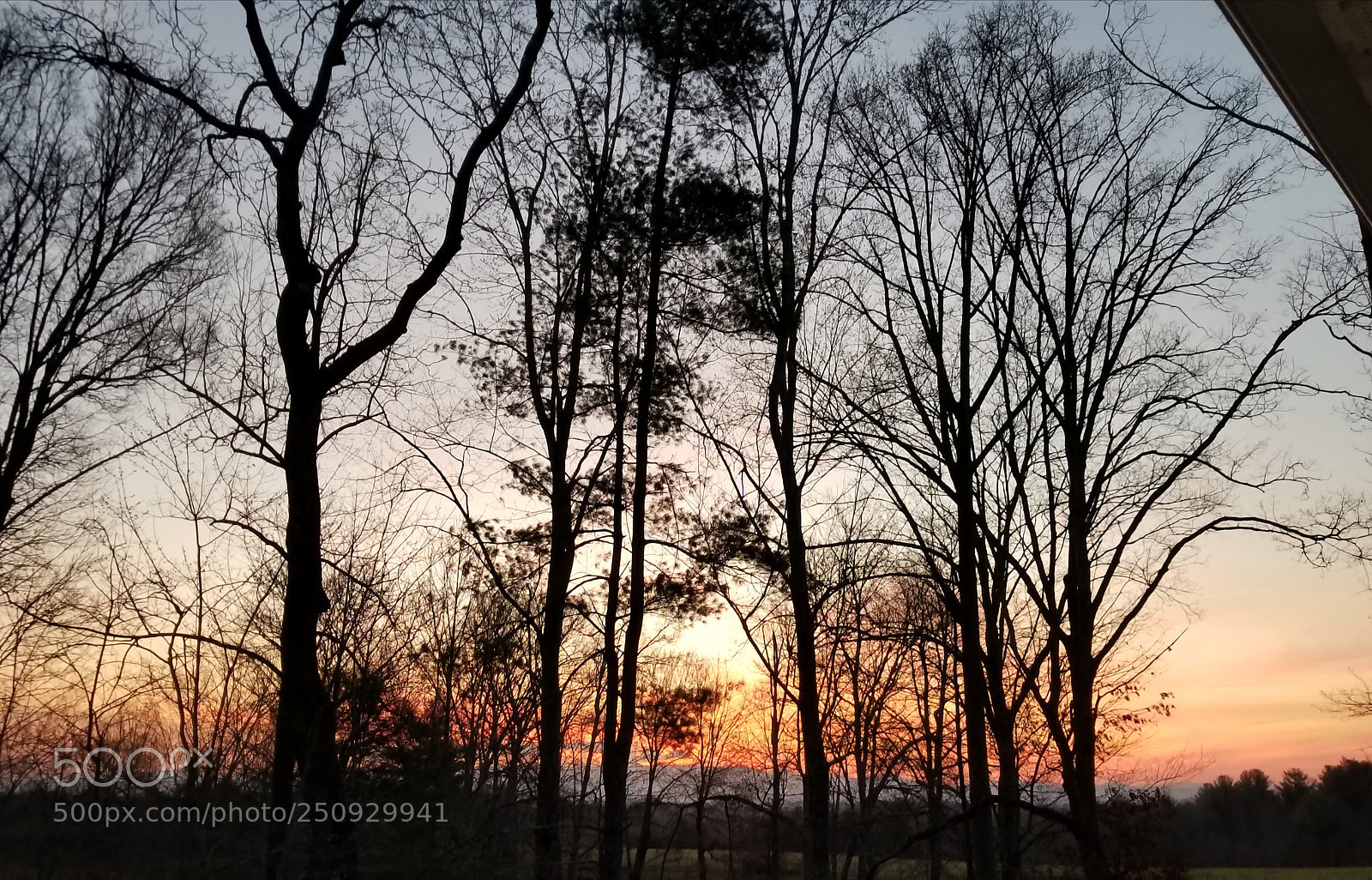Samsung Galaxy S8 sample photo. 20180326_165733.jpg photography