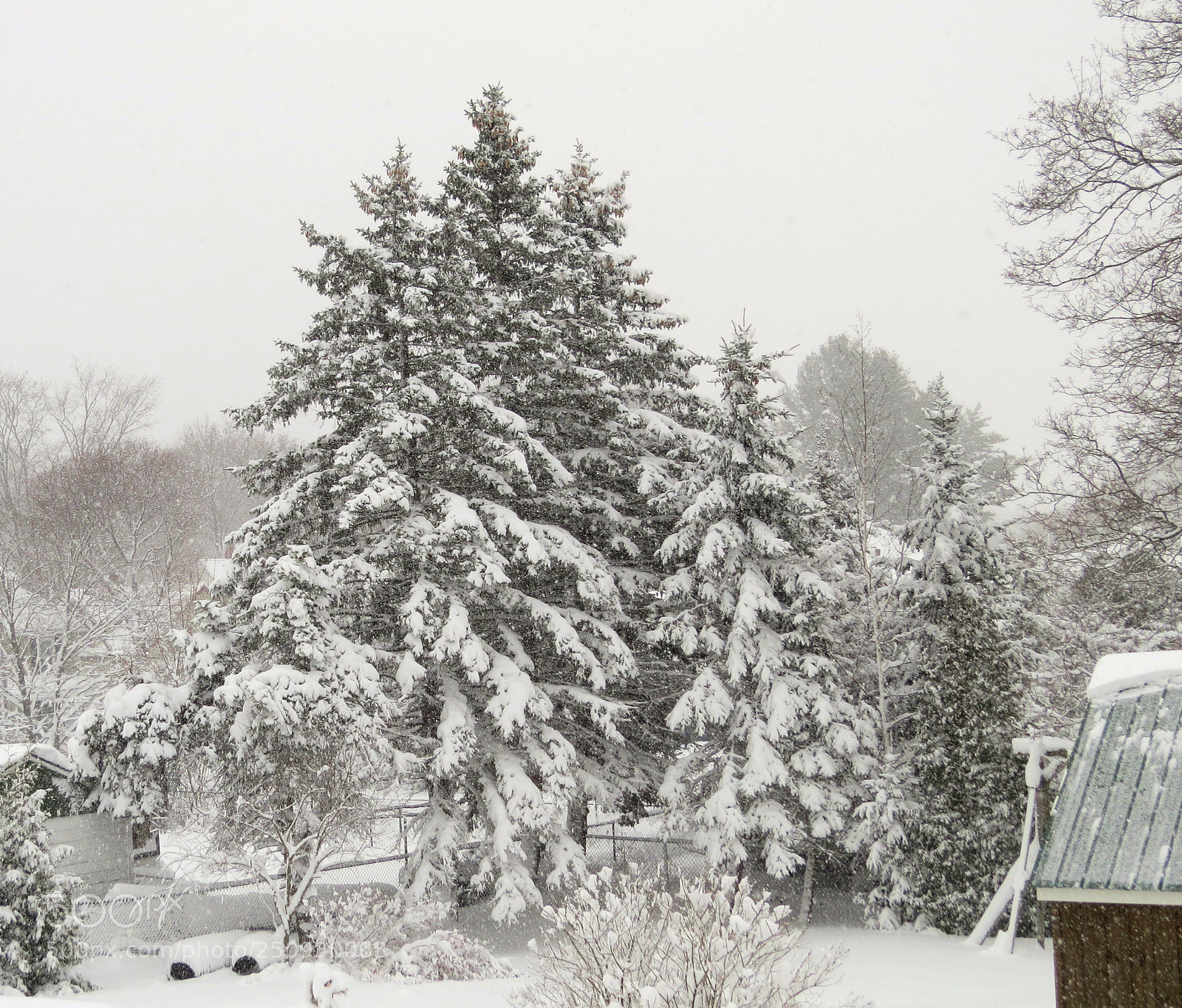 Canon PowerShot SX50 HS sample photo. Maine winter wonderland march photography