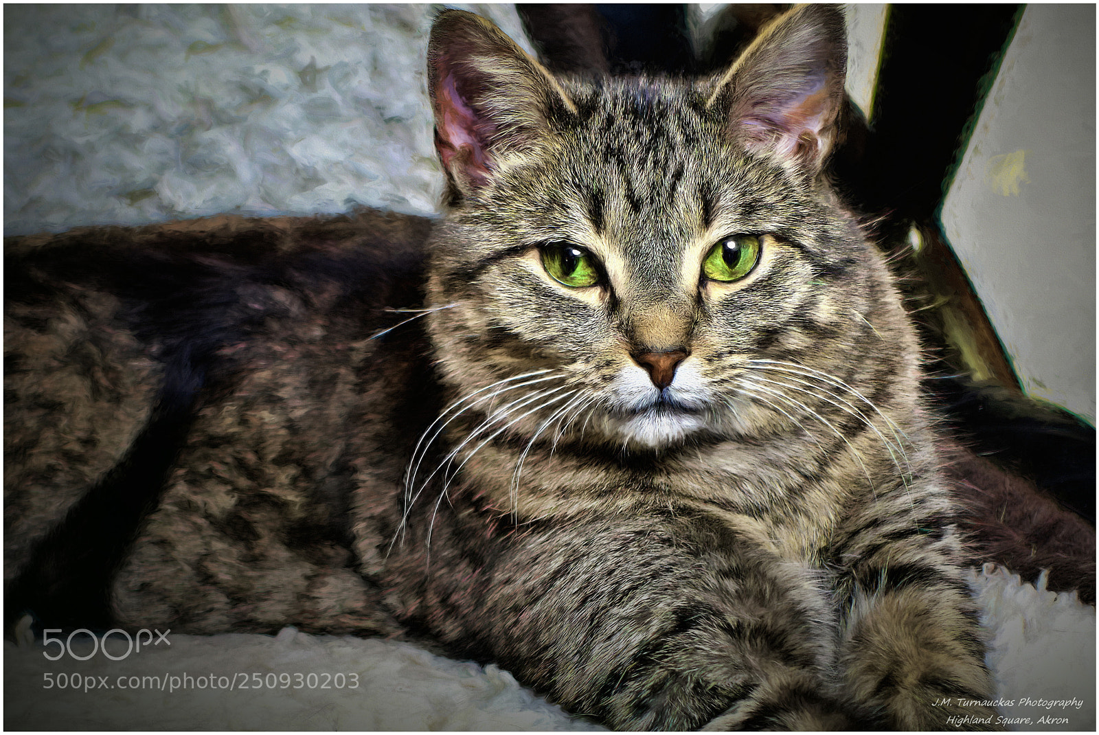 Sony Cyber-shot DSC-RX100 III sample photo. Impressionistic alfred photography
