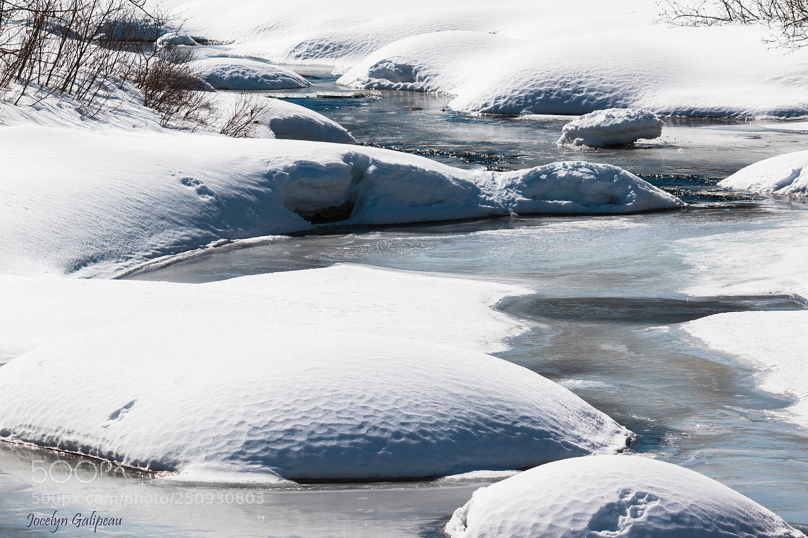 Canon EOS 7D Mark II sample photo. Waiting for springtime photography