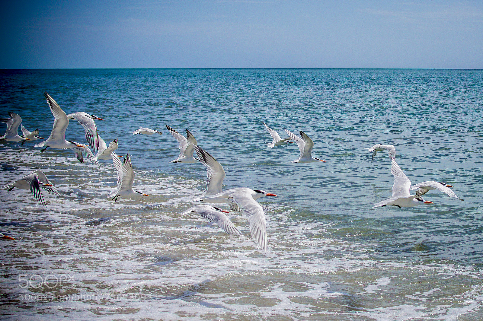 Nikon D3200 sample photo. Go photography