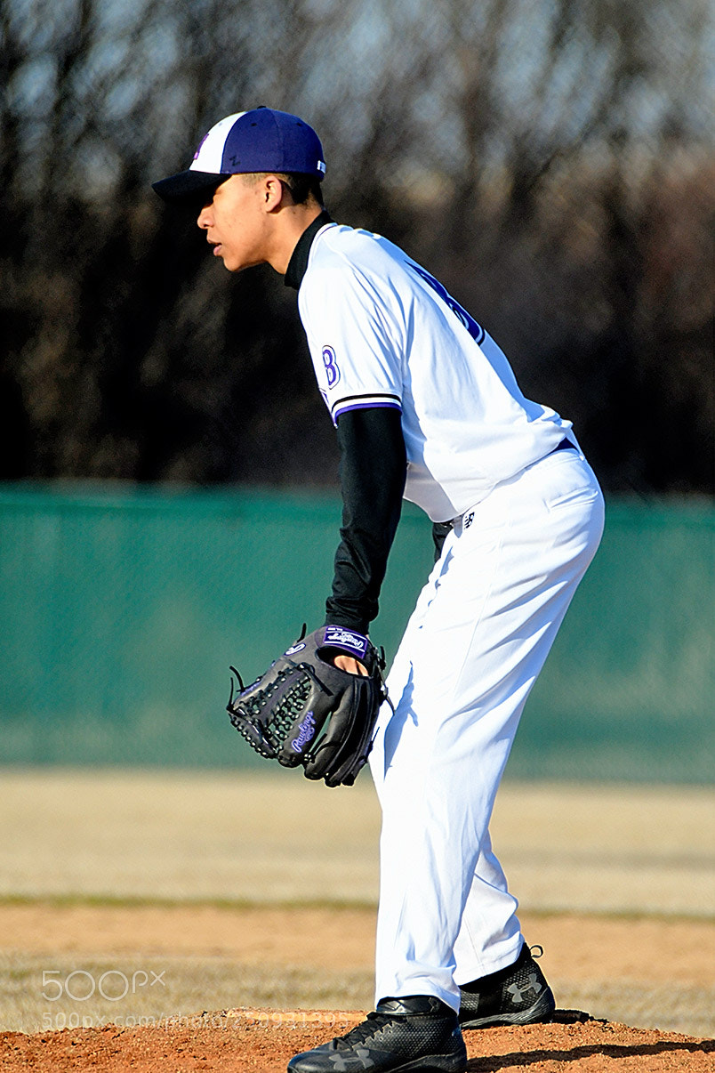 Nikon D500 sample photo. 3-22_0210.jpg photography