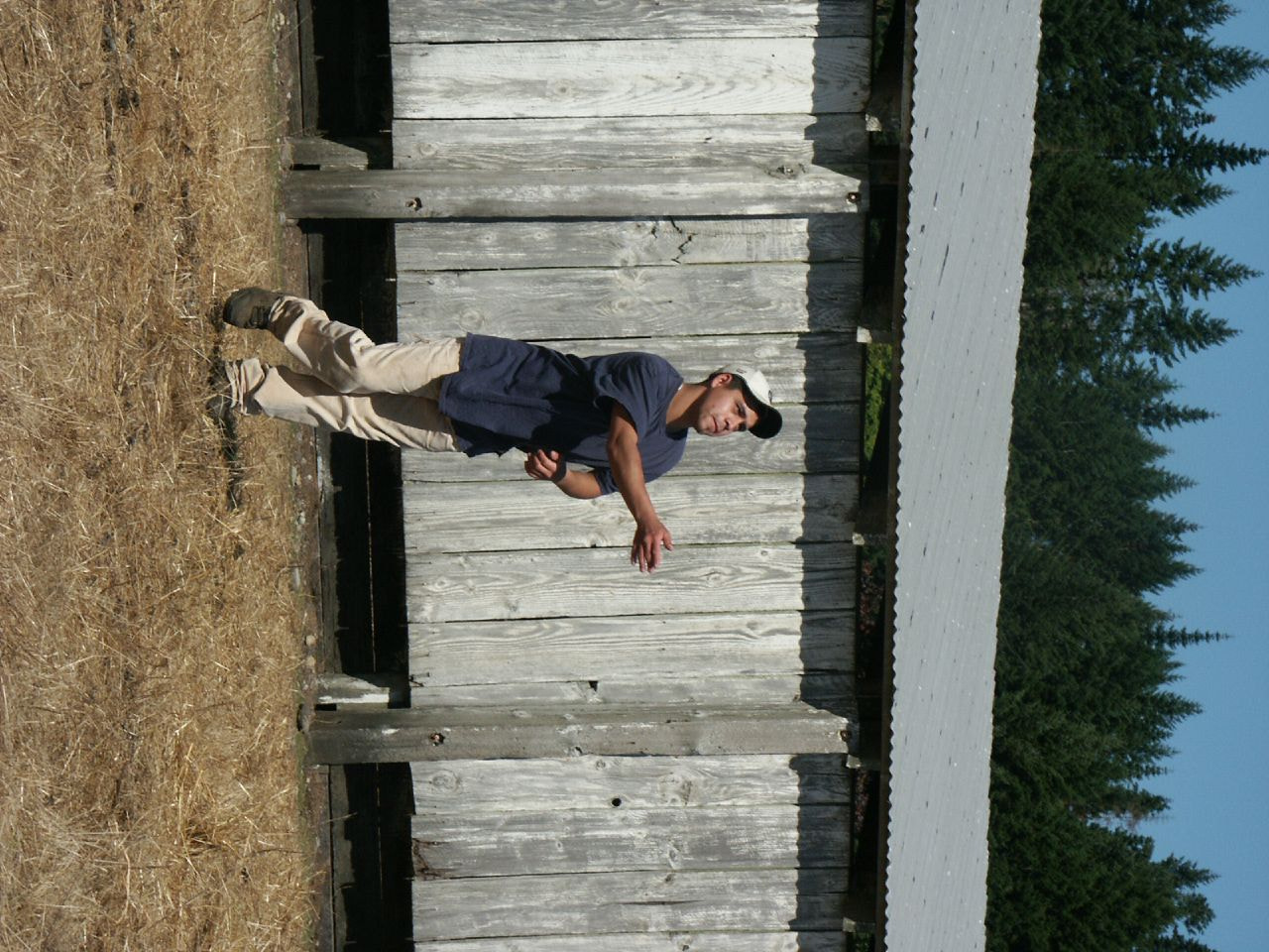 KONICA MINOLTA DiMAGE 7i sample photo. Life on the ranch photography