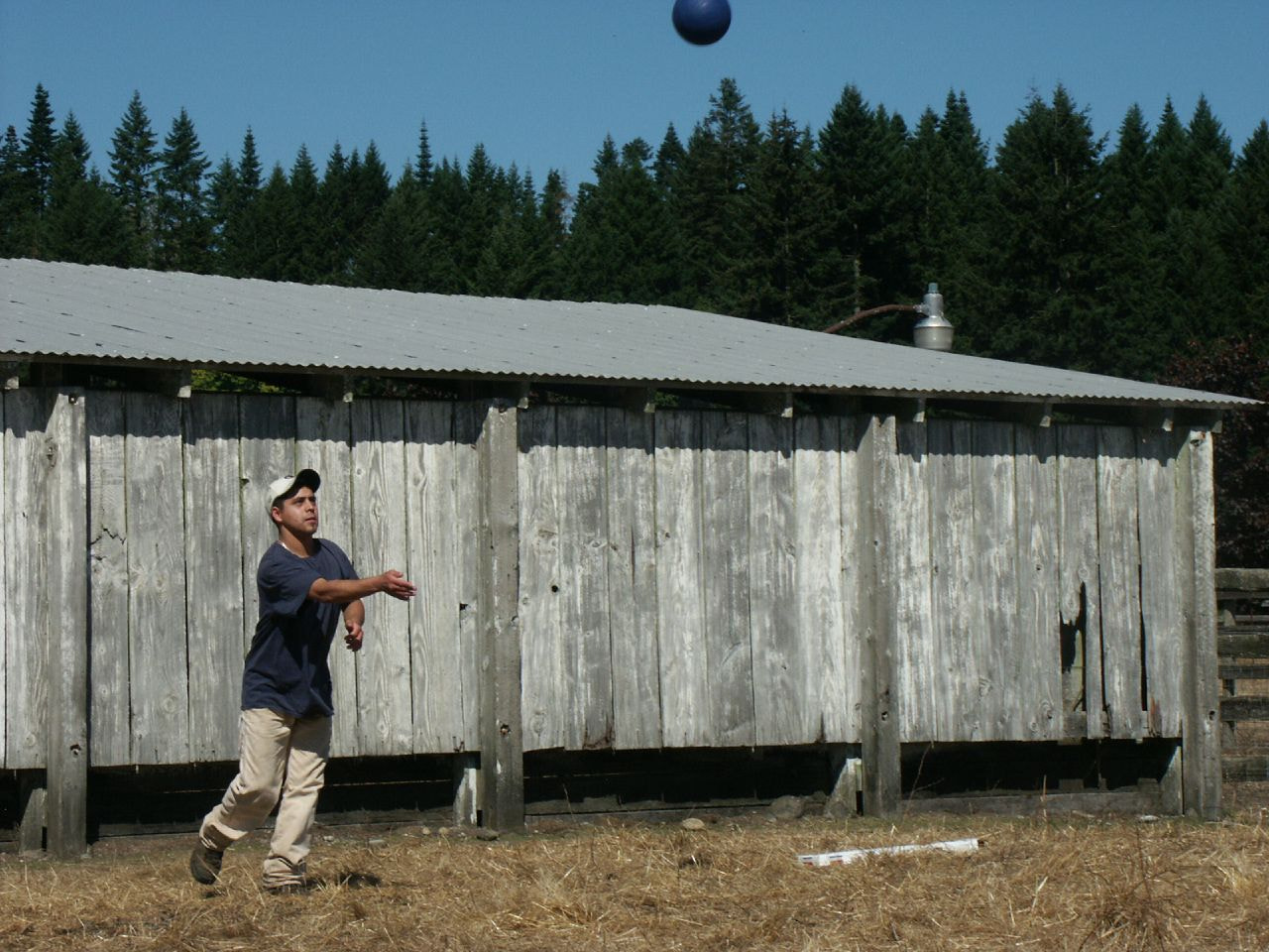 KONICA MINOLTA DiMAGE 7i sample photo. Life on the ranch photography