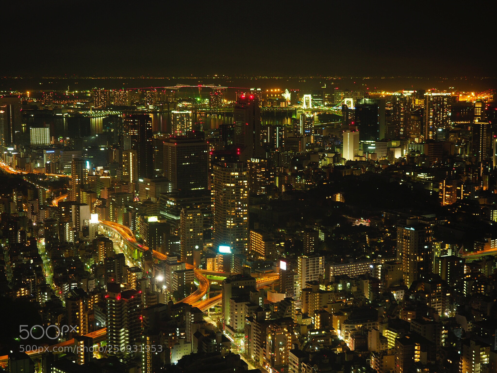Olympus OM-D E-M1 Mark II sample photo. Night view of tokyo photography
