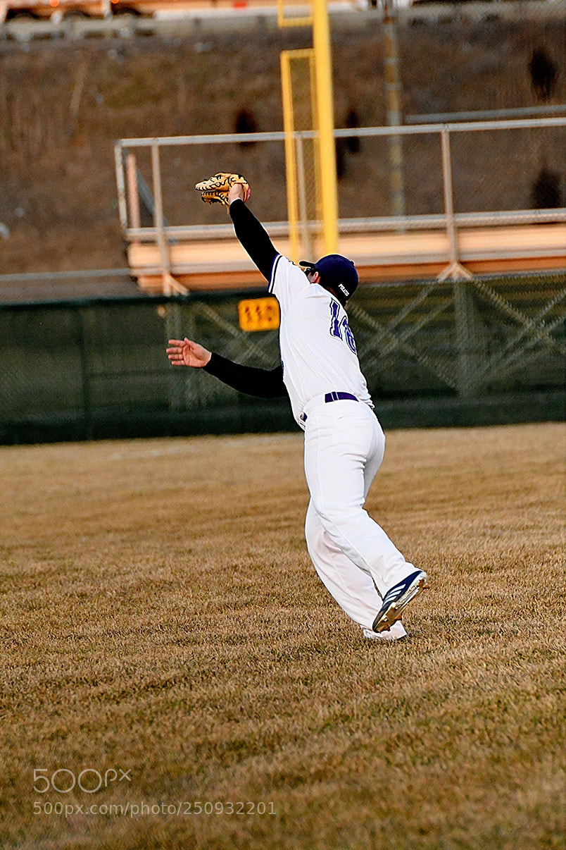 Nikon D500 sample photo. 3-22_0887.jpg photography