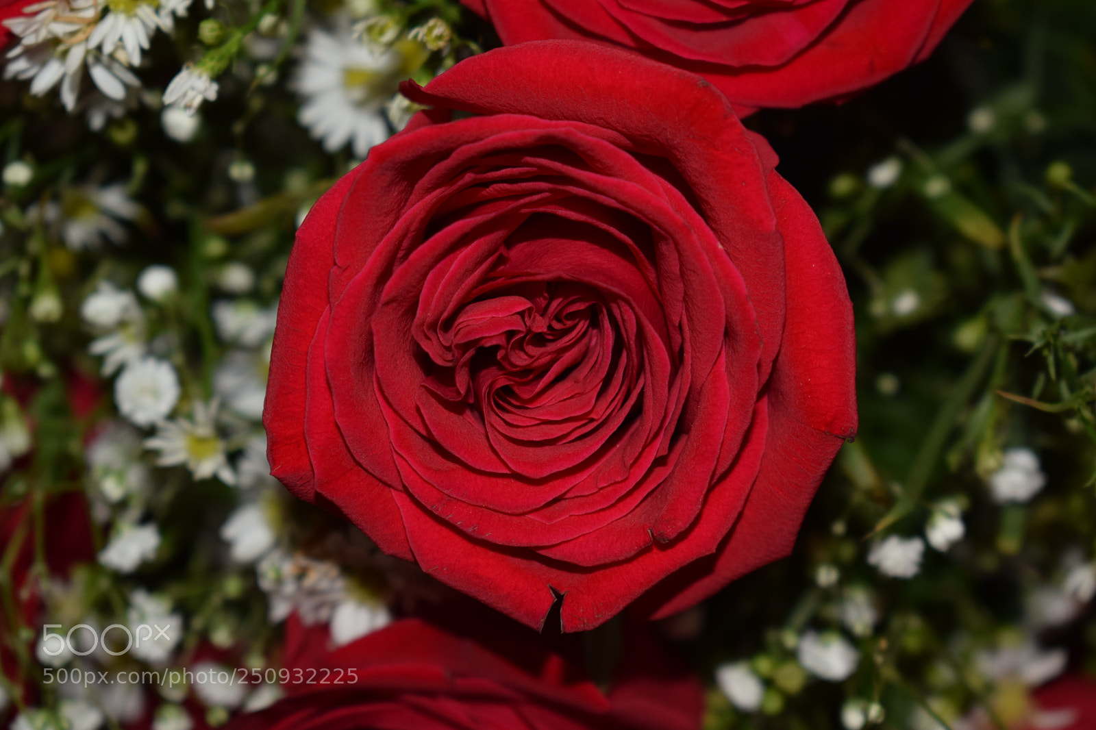 Nikon D3300 sample photo. Untitled photography
