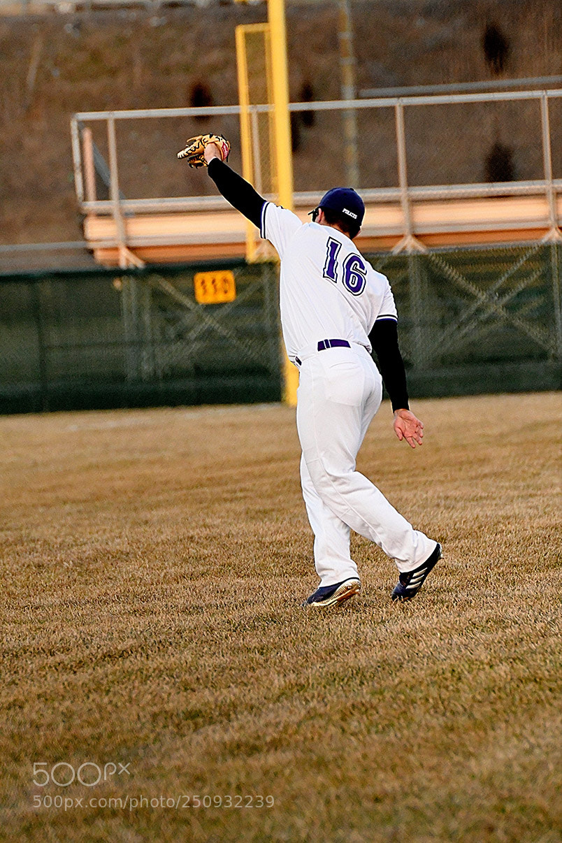 Nikon D500 sample photo. 3-22_0889.jpg photography