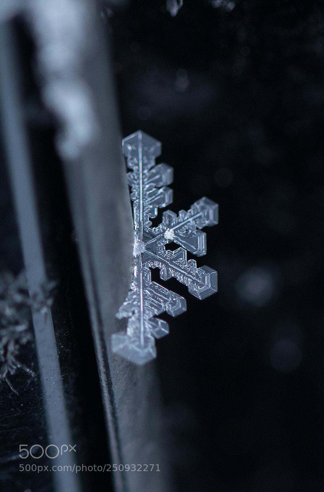 Canon EOS 5D Mark IV sample photo. Half a snowflake is photography