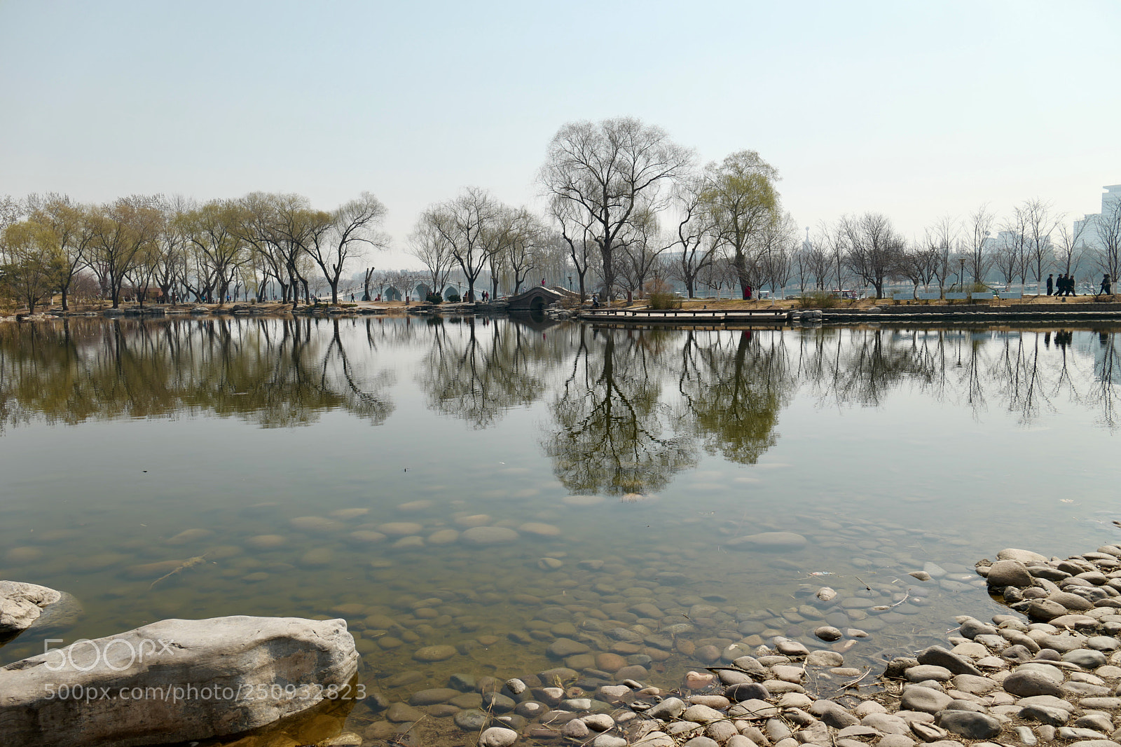 Leica SL (Typ 601) sample photo. Untitled photography
