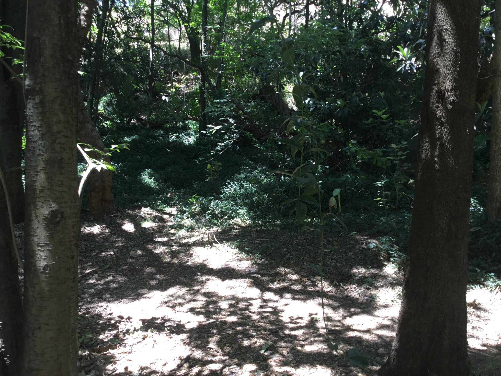 Apple iPad (5th generation) sample photo