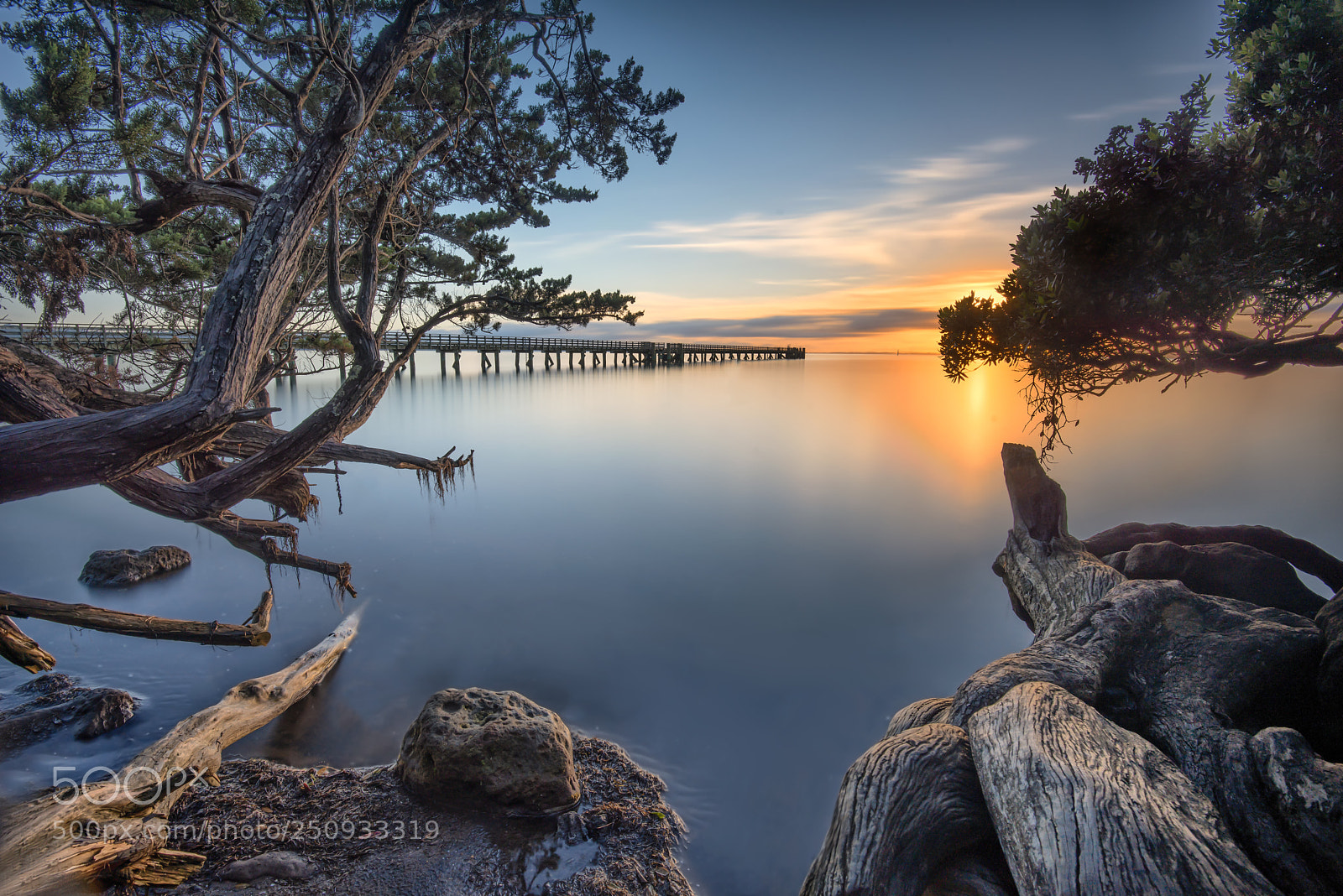 Nikon D800 sample photo. Cornwallis long jetty photography