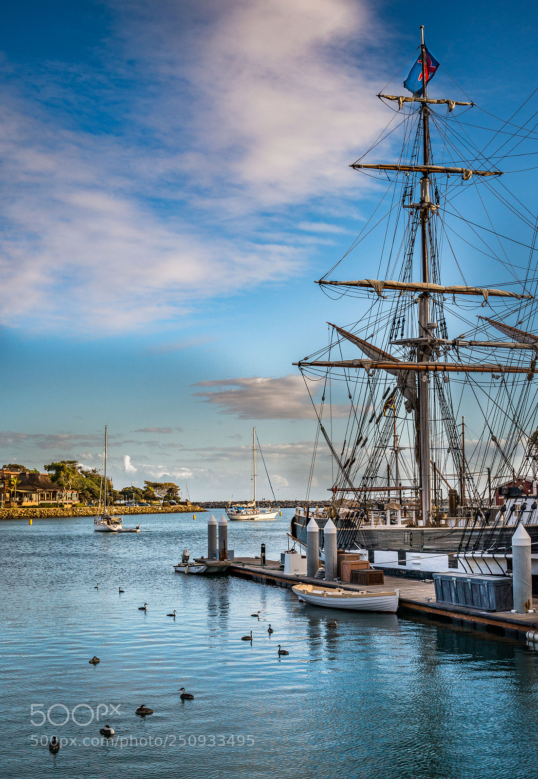 Nikon D800 sample photo. Ships and ducks photography