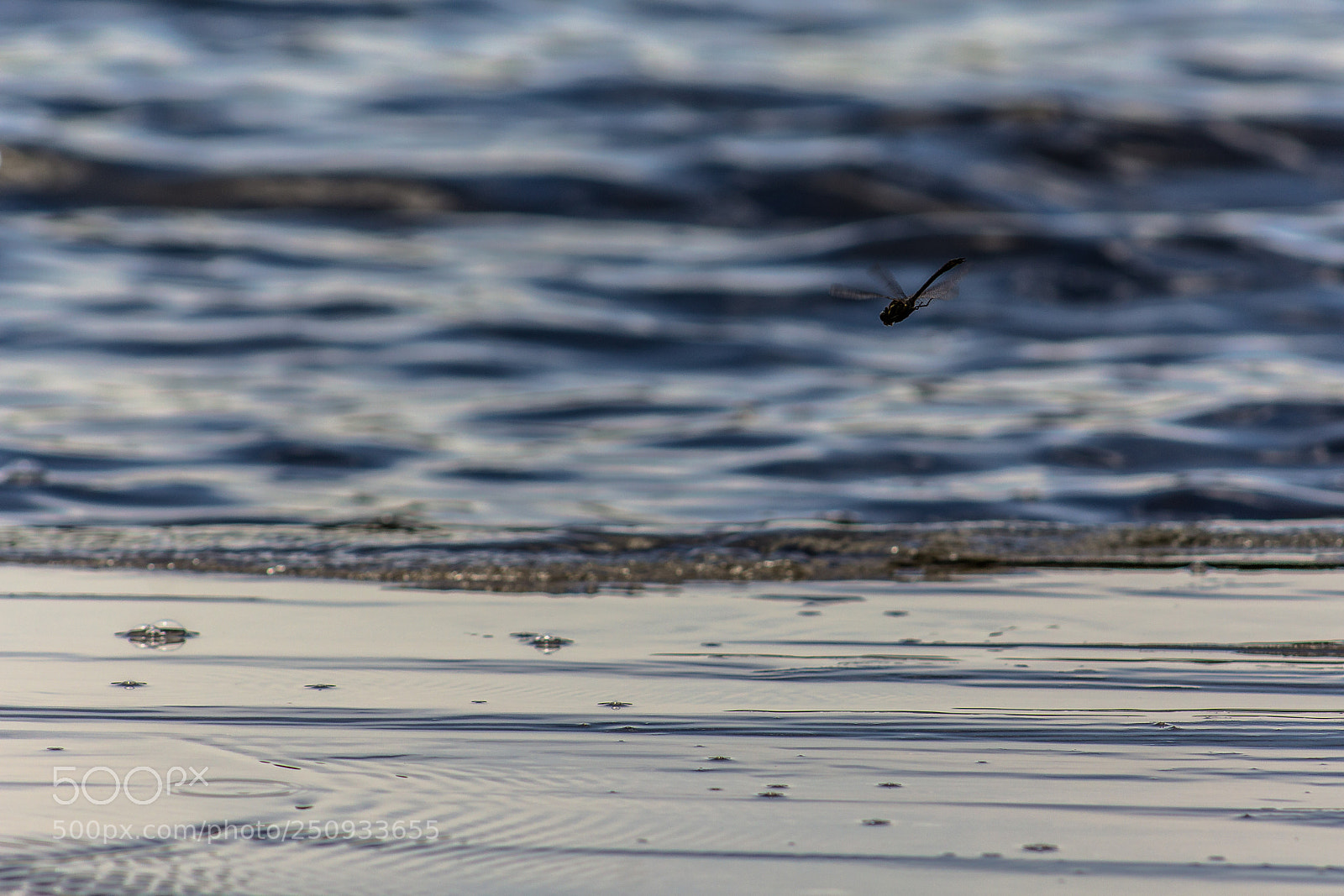 Canon EOS 1200D (EOS Rebel T5 / EOS Kiss X70 / EOS Hi) sample photo. Darting dragonfly photography