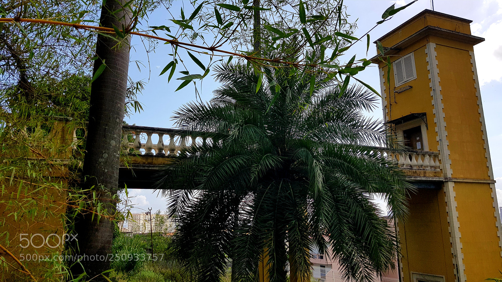 Samsung Galaxy S8+ sample photo. Observatório photography