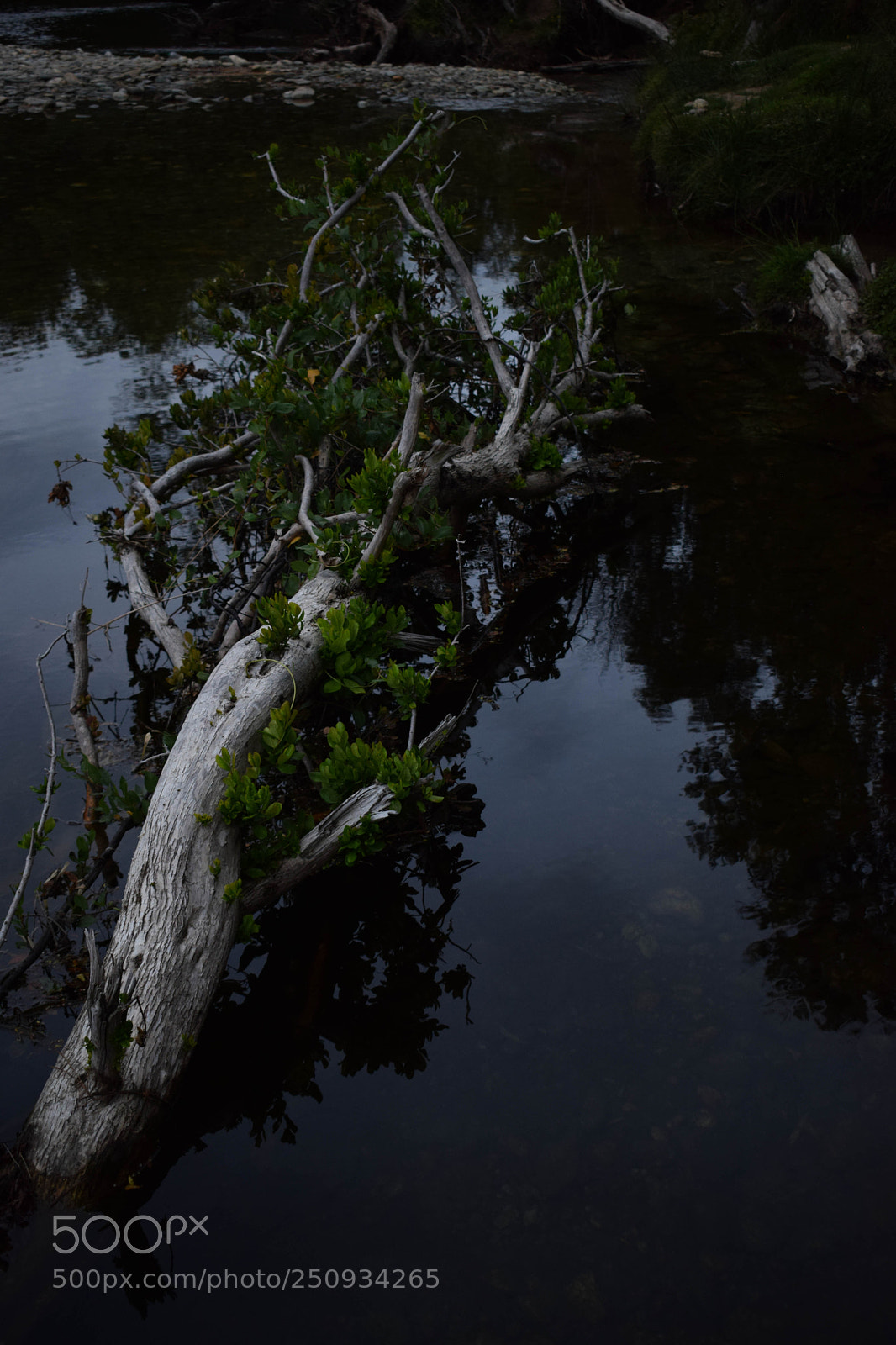 Nikon D3300 sample photo. Un d a para photography