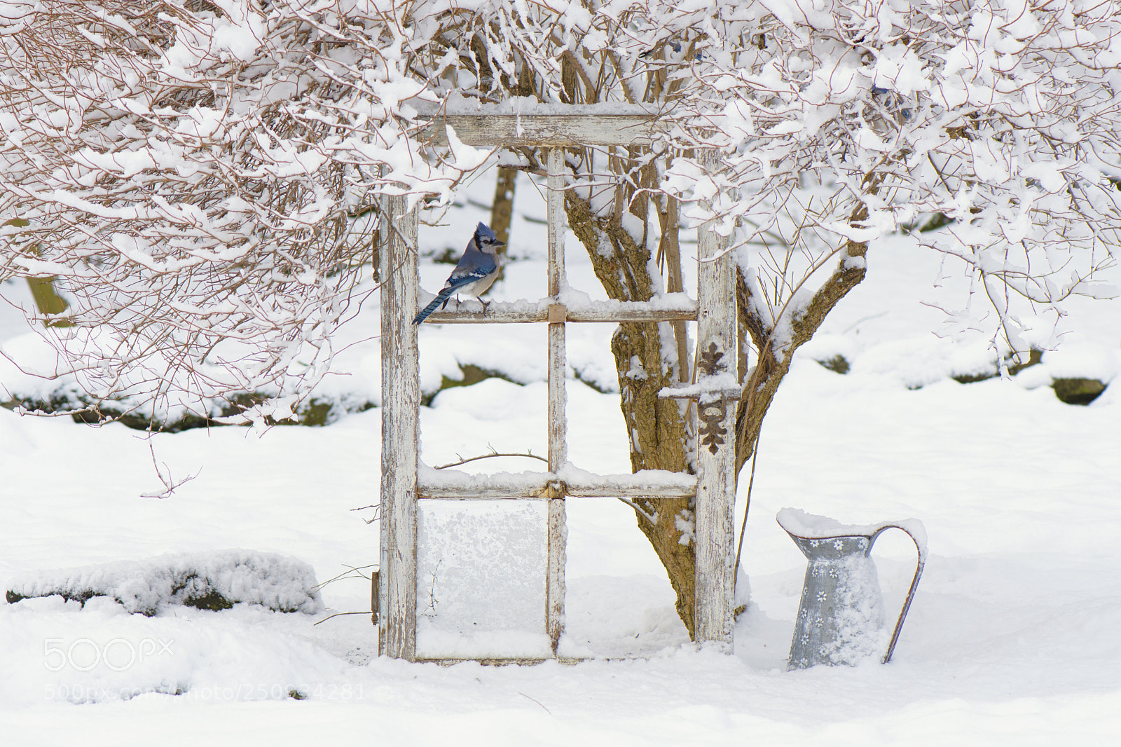 Nikon D500 sample photo. Waiting for blue skies photography