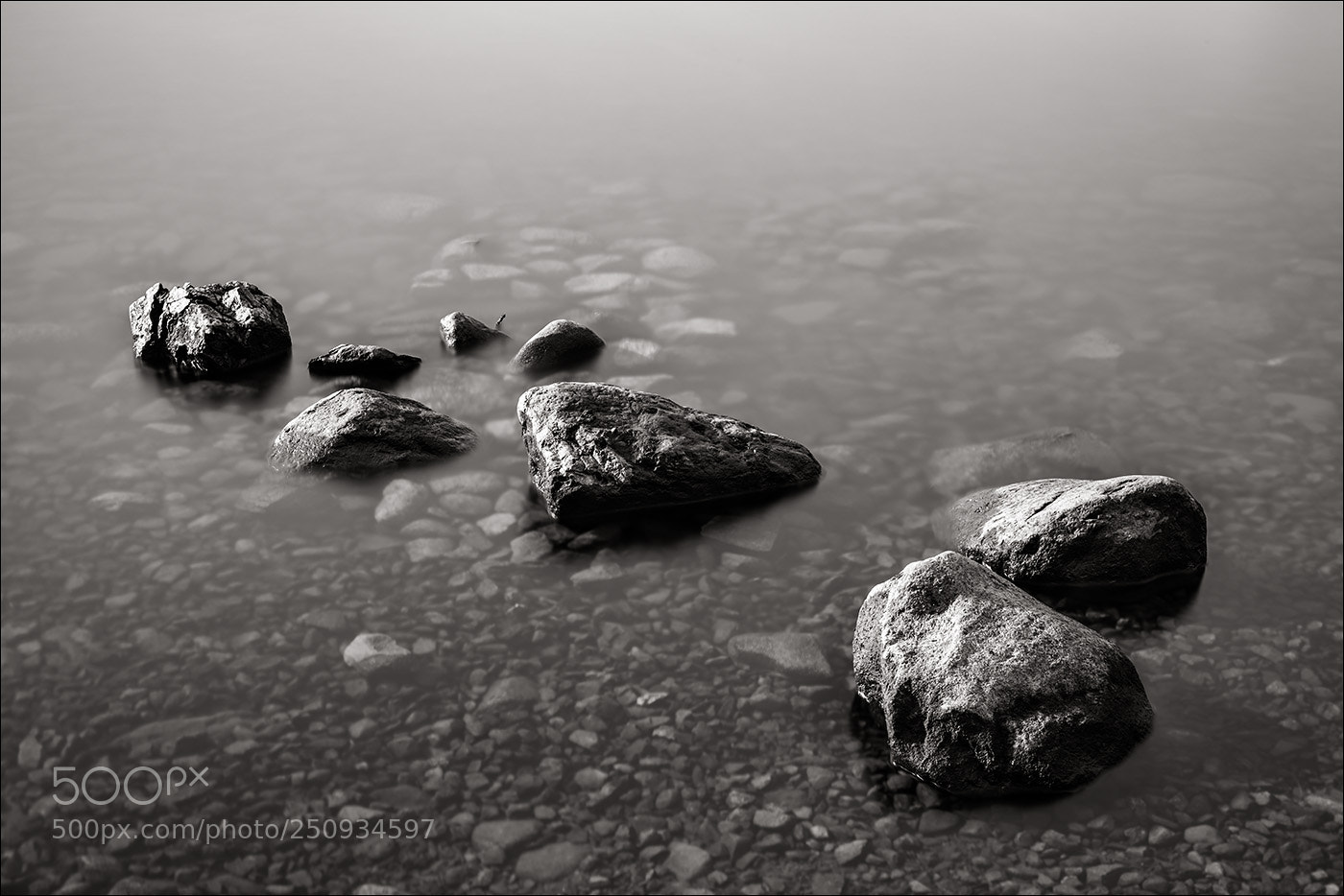 Nikon D810 sample photo. Stand the test photography