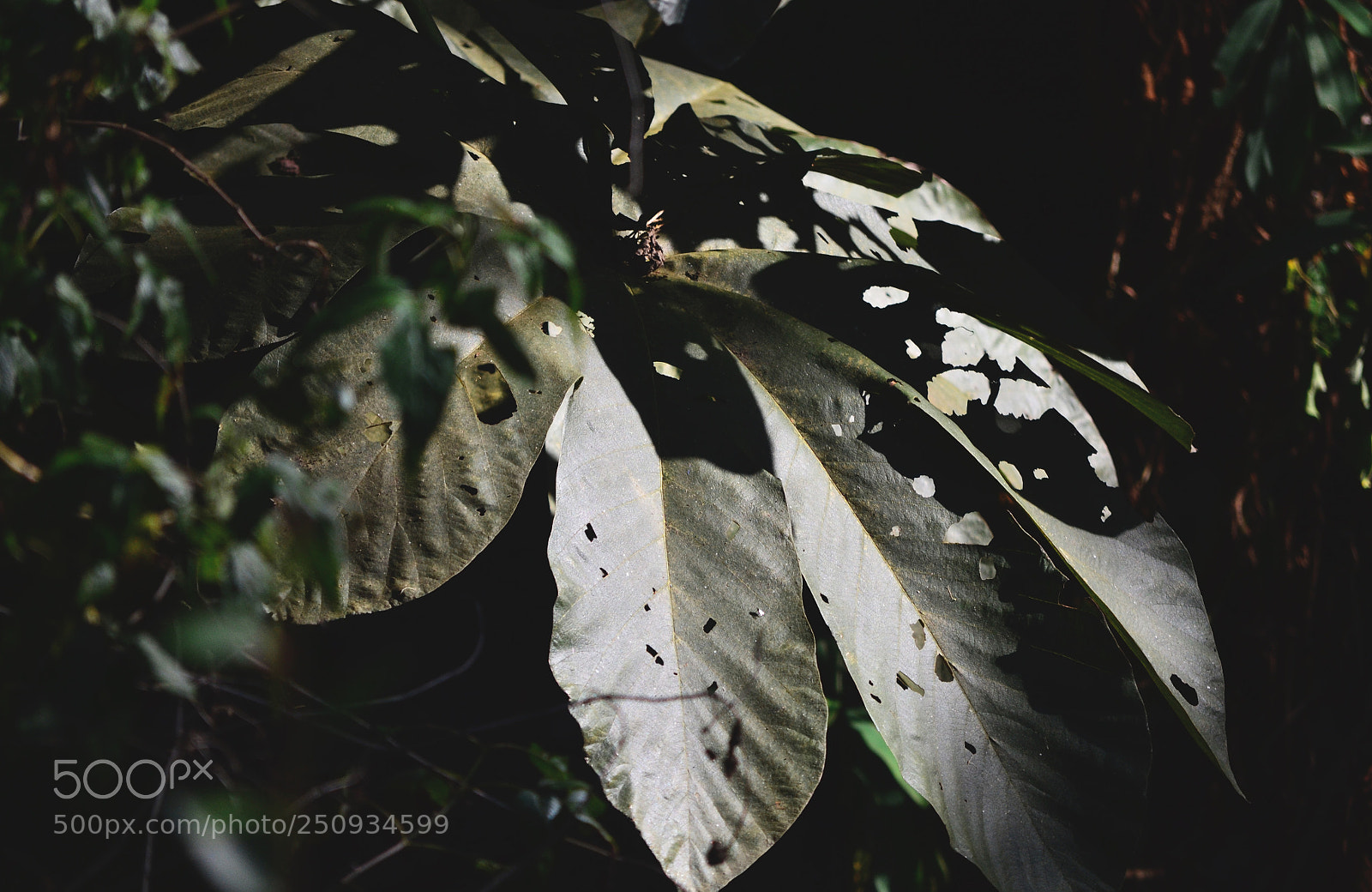 Nikon D3100 sample photo. Untitled photography