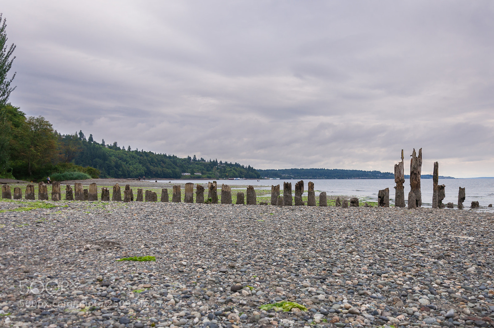 Nikon D90 sample photo. Wooden row 2 (another perspective) photography
