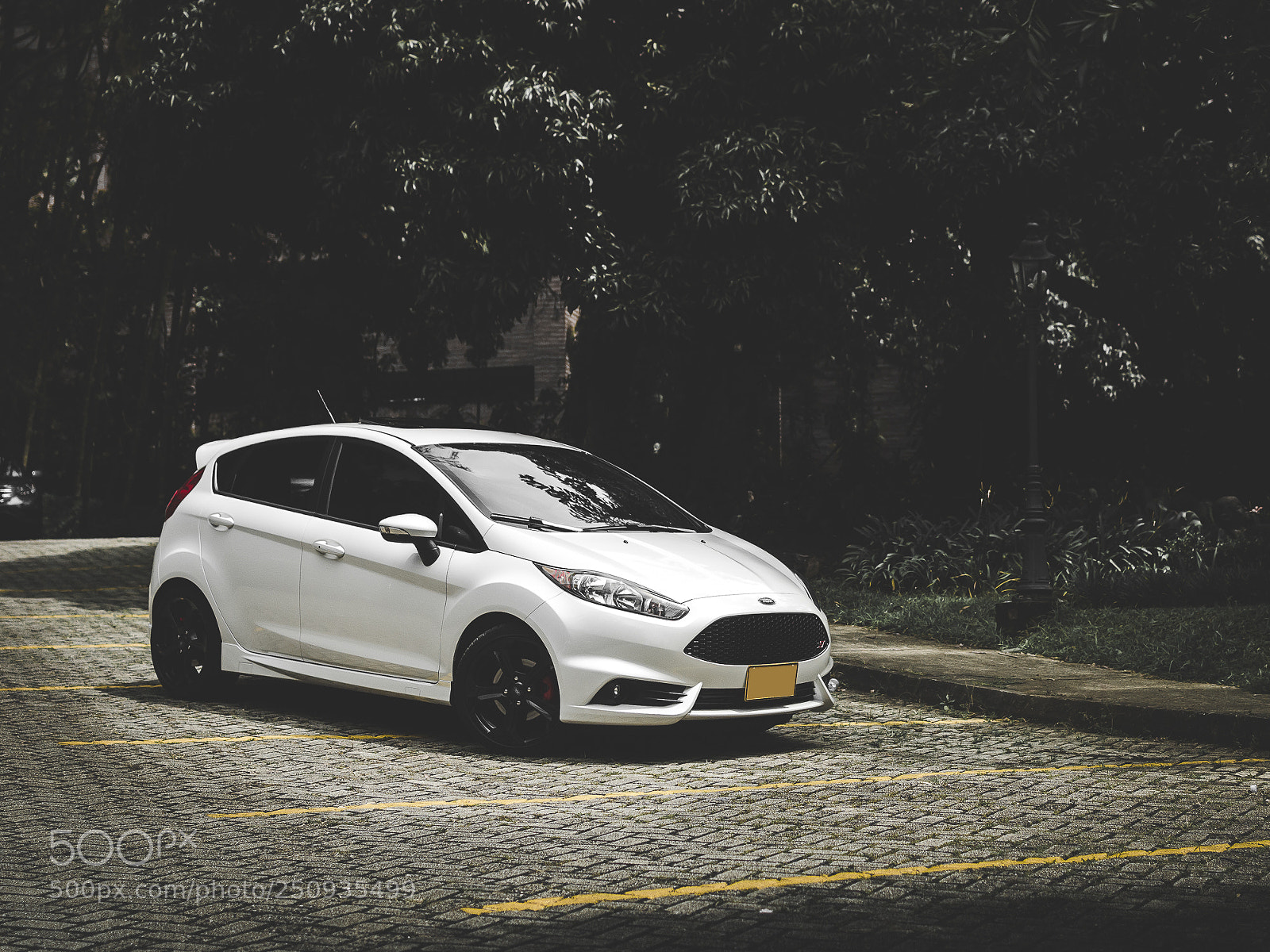 Nikon D7000 sample photo. Fiesta st photography