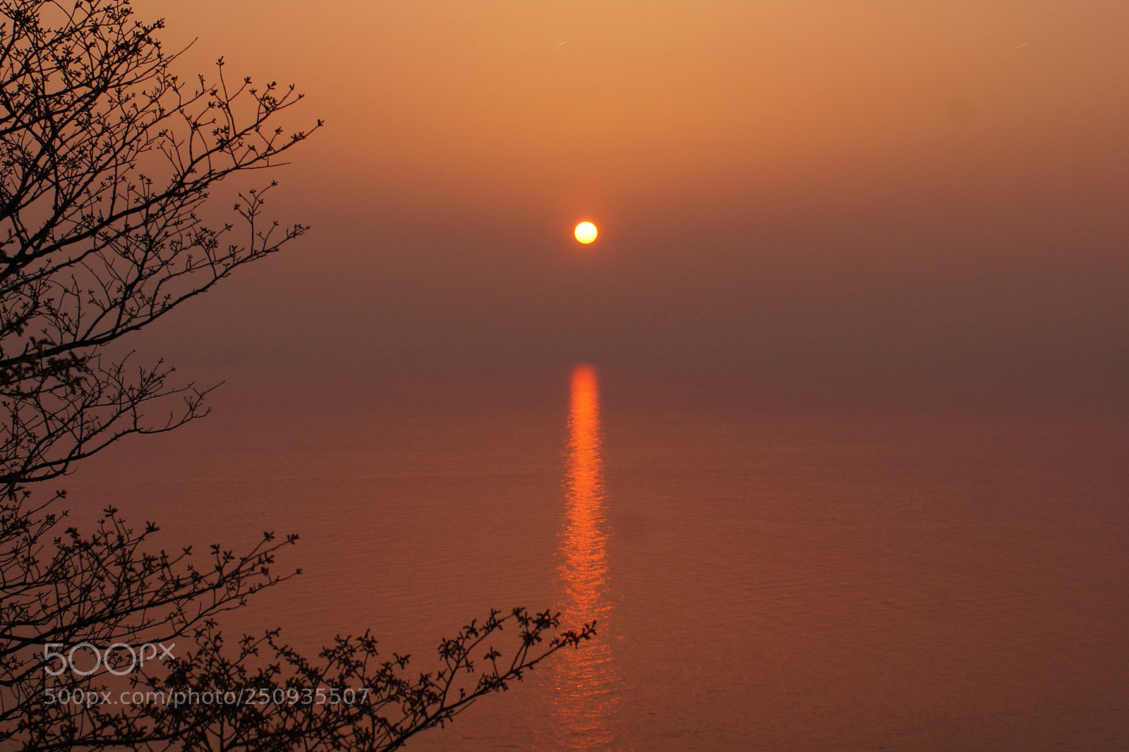 Sony SLT-A57 sample photo. 日御碕夕日a photography