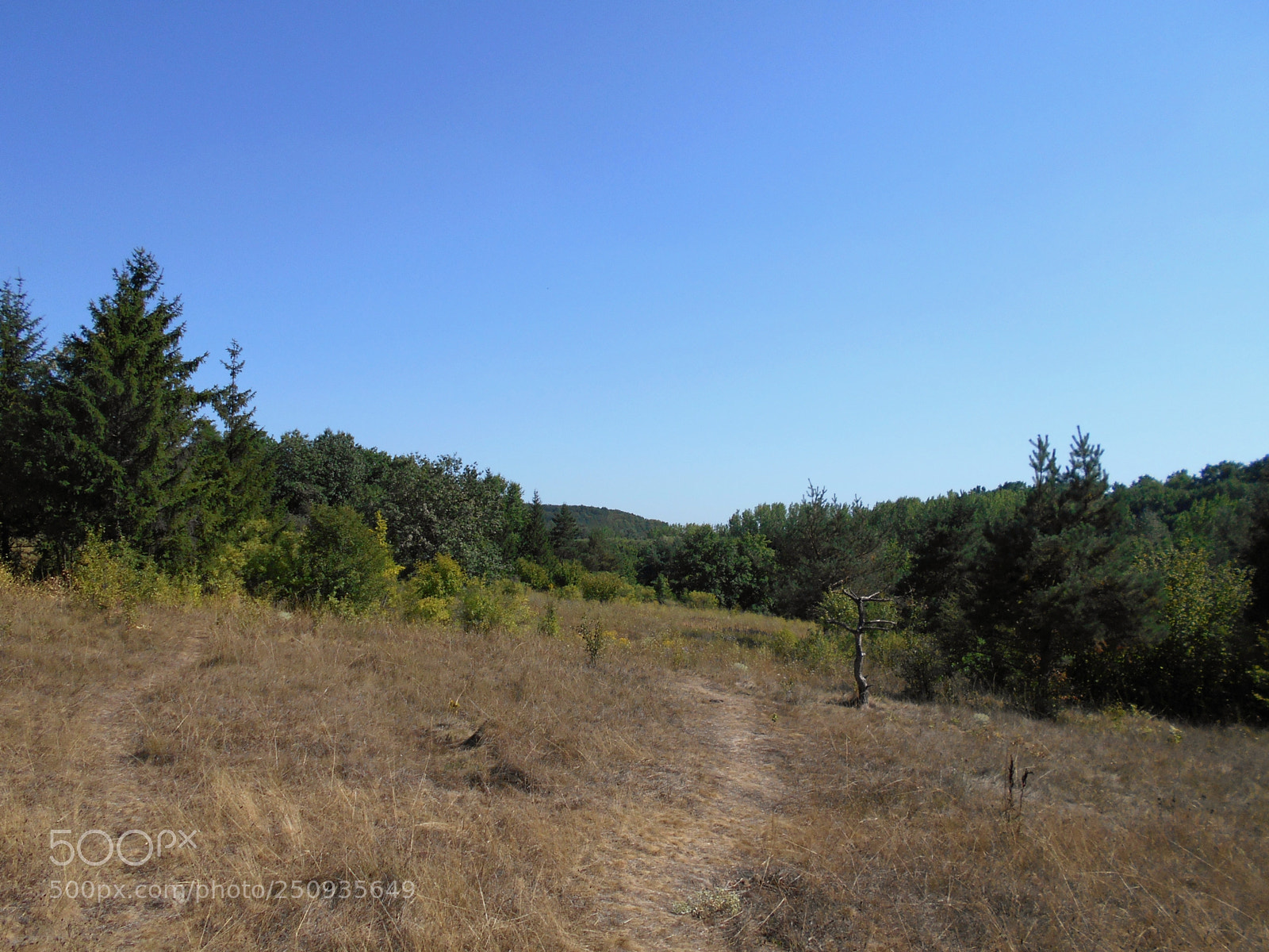 Nikon Coolpix A100 sample photo. Cbce orig photography