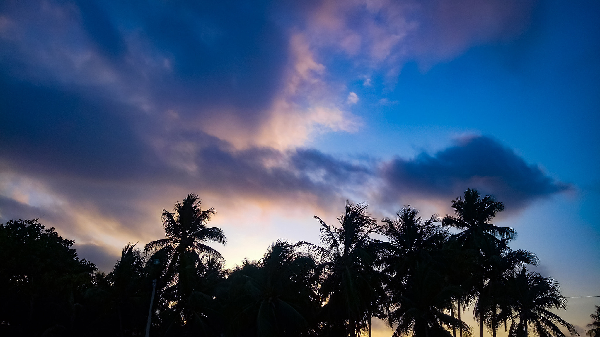 LG X POWER sample photo. Paradise photography