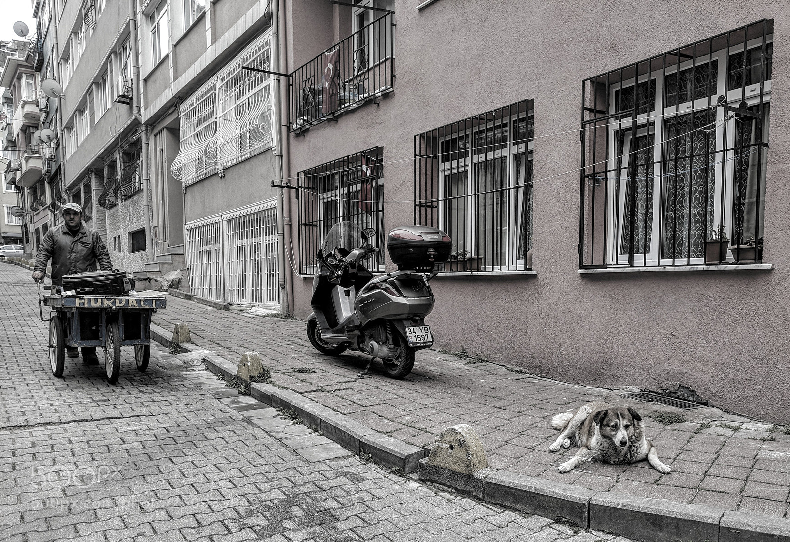 Google Pixel XL sample photo. Street residents photography