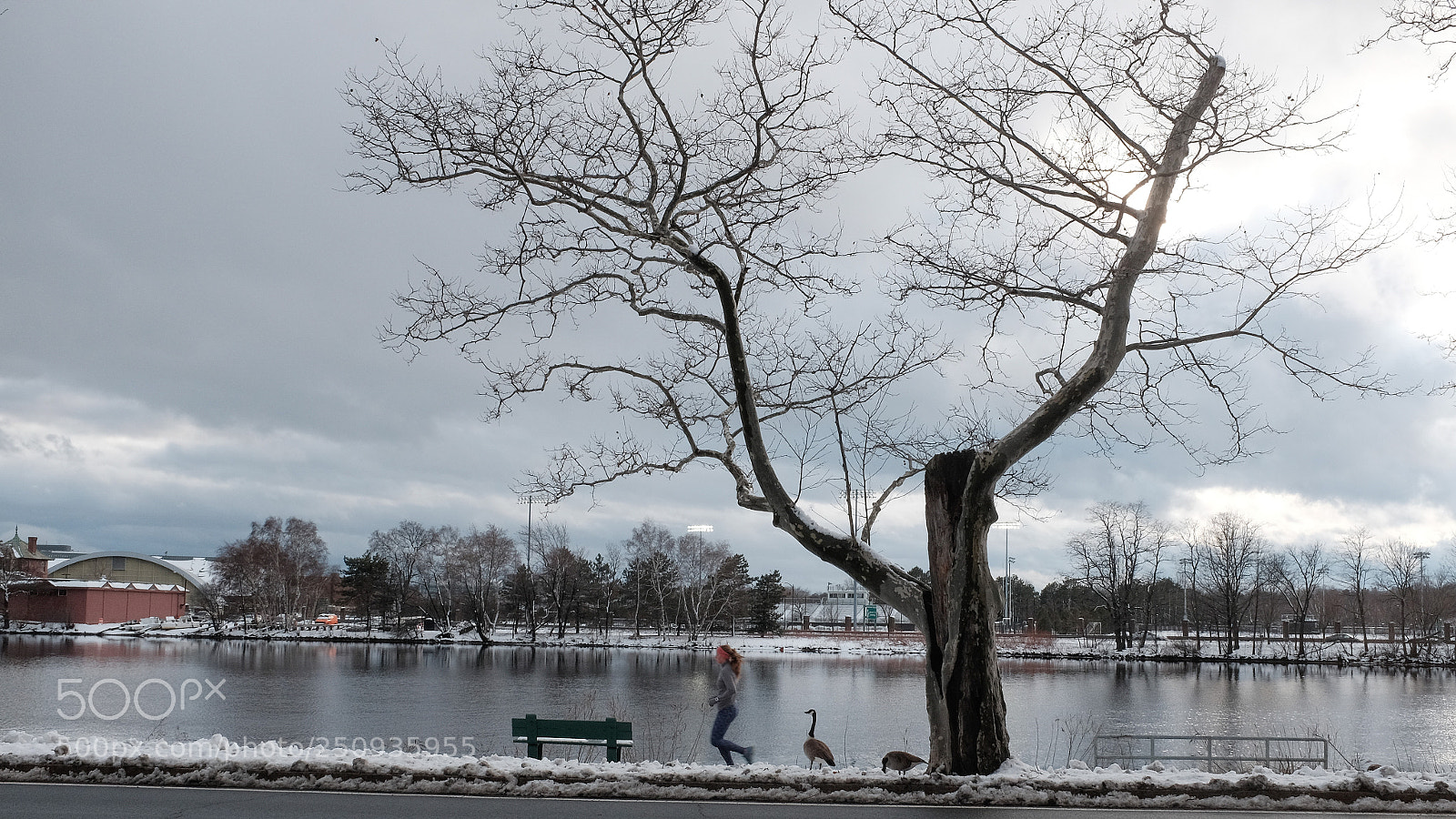 Fujifilm X100T sample photo. Sharing the winter, sharing photography
