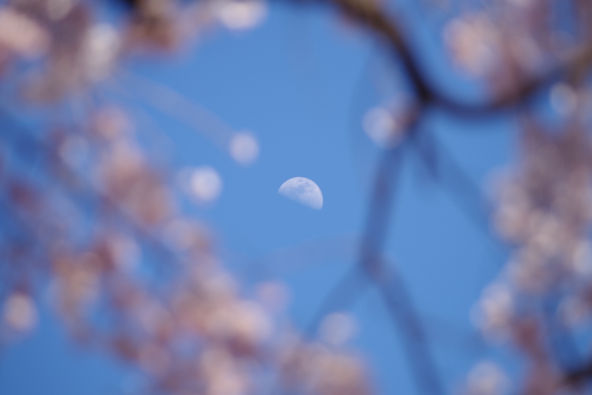 smc PENTAX-DA L 55-300mm F4-5.8 ED sample photo. Moon. photography