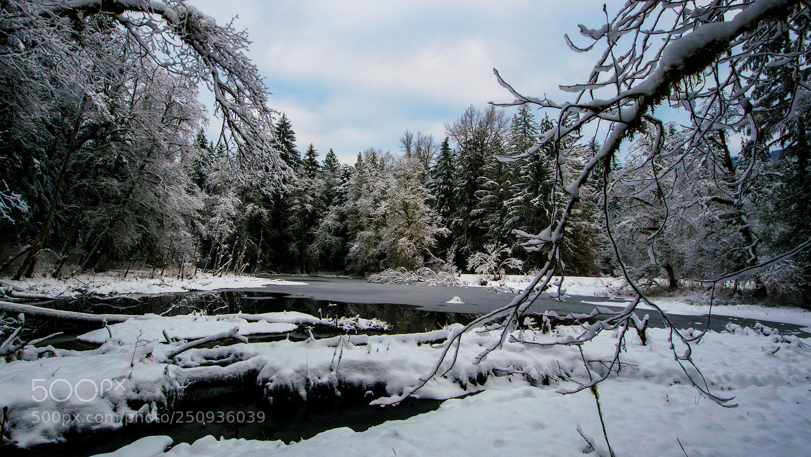 Nikon D5300 sample photo. Golden lale pond photography