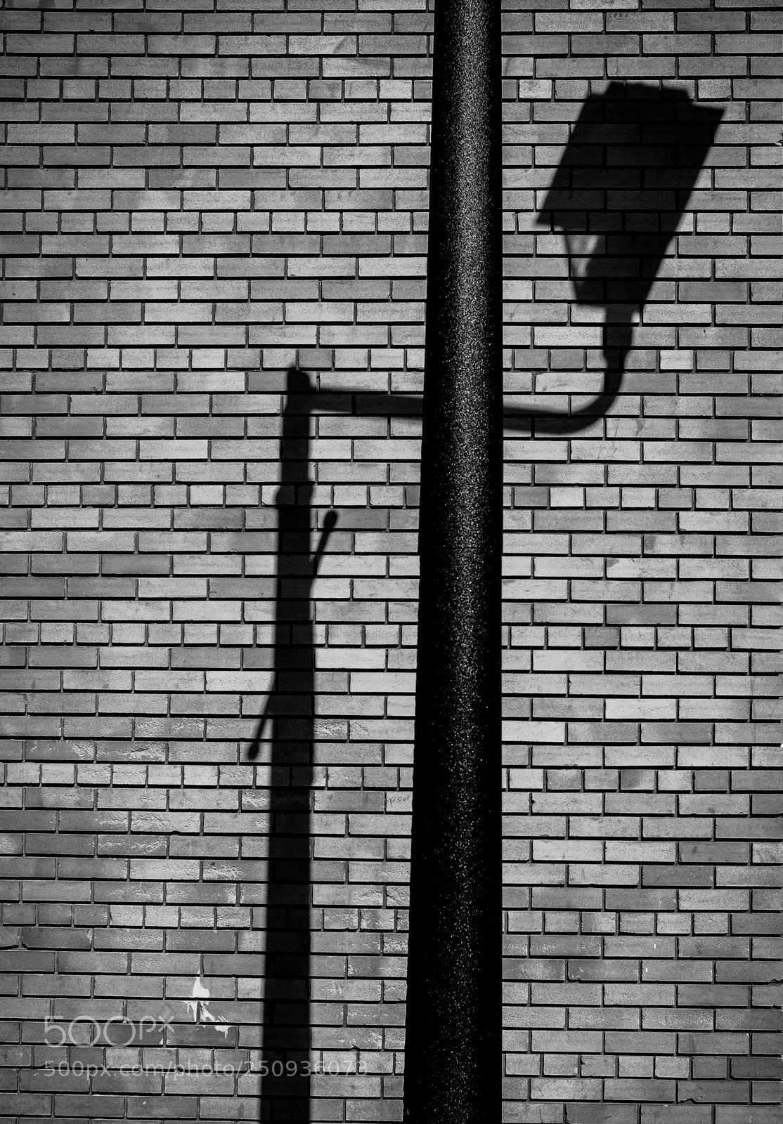 Fujifilm X-T1 sample photo. The shadow knows photography