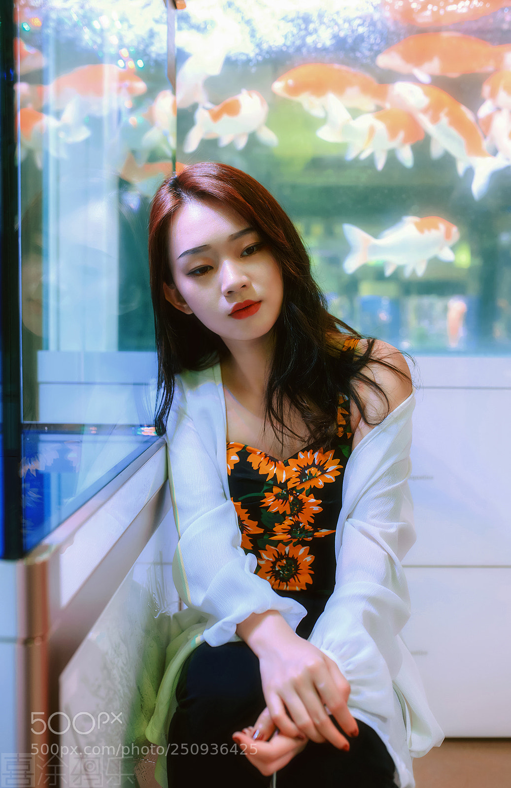 Nikon D810 sample photo. 与鱼为画 photography