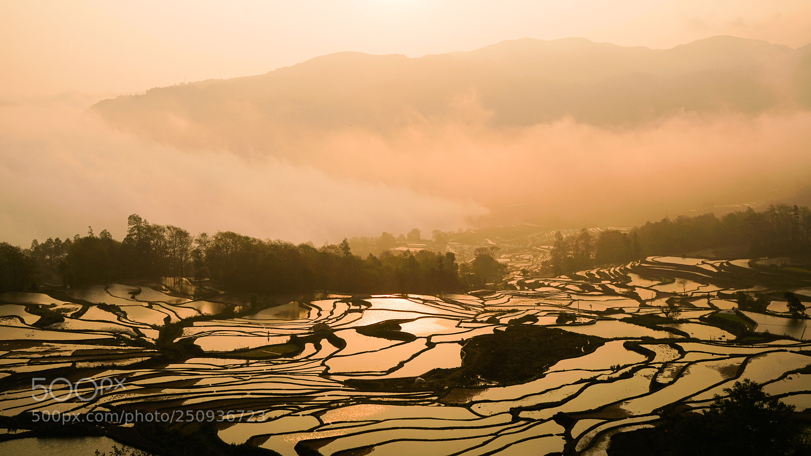 Sony a7R II sample photo. Reflections of dawn photography