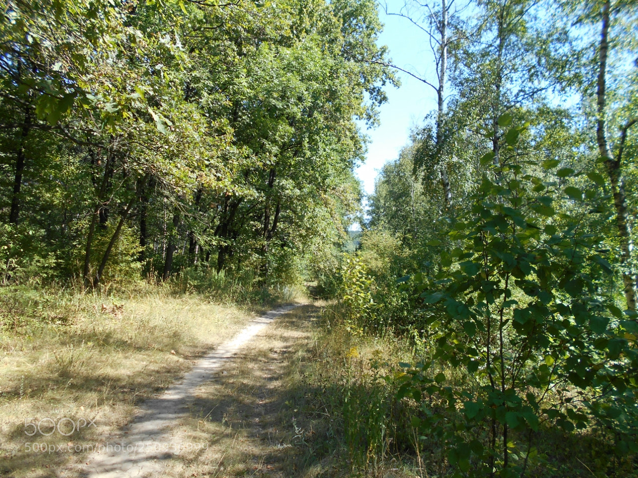 Nikon Coolpix A100 sample photo. Cafd orig photography