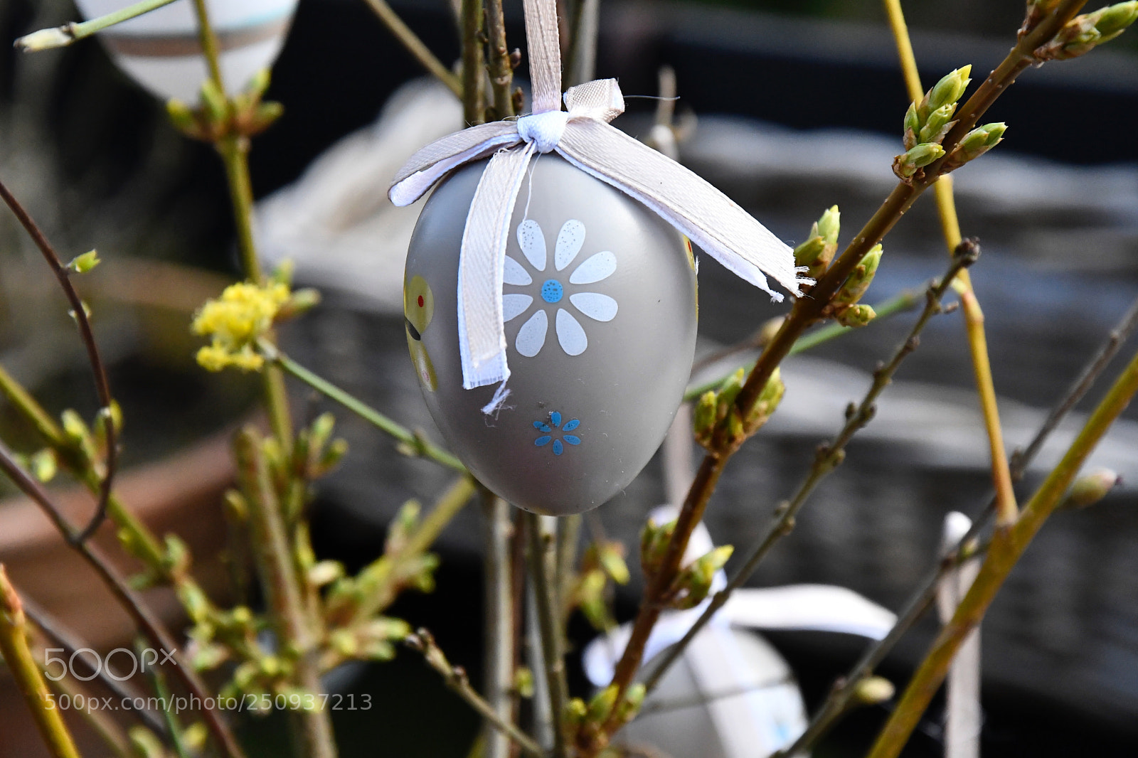 Nikon D7500 sample photo. Grey easter egg photography