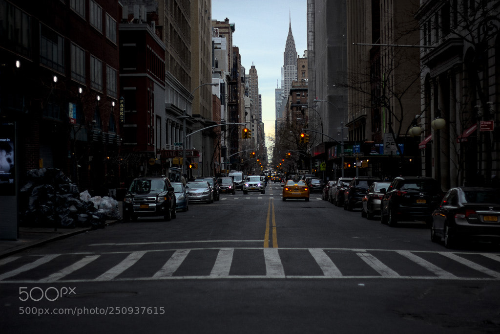Canon EOS 550D (EOS Rebel T2i / EOS Kiss X4) sample photo. Chrysler building at a photography
