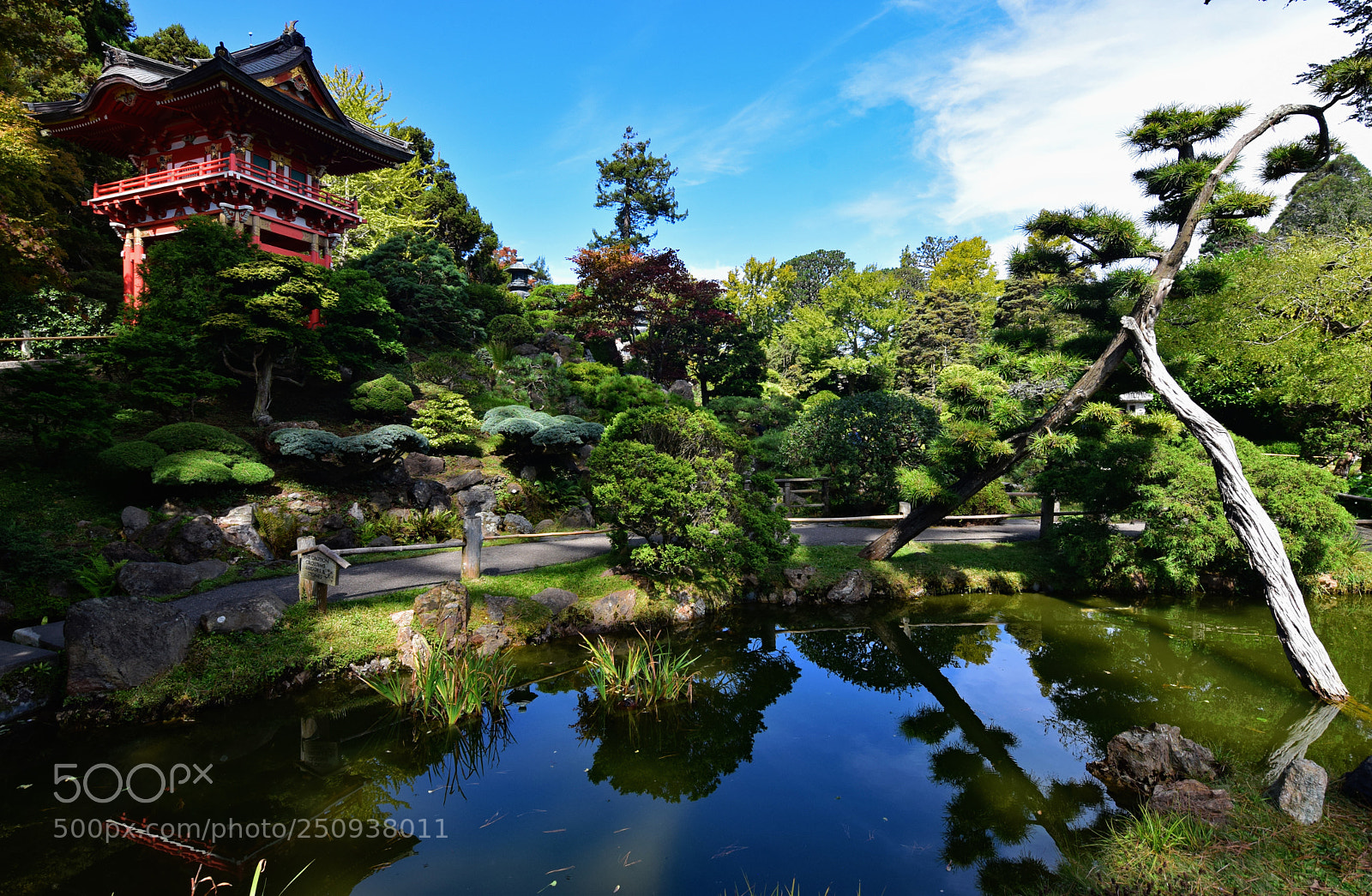 Nikon D3300 sample photo. Japanese tea garden photography
