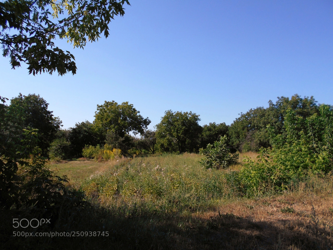 Nikon Coolpix A100 sample photo. Cd abeorig photography