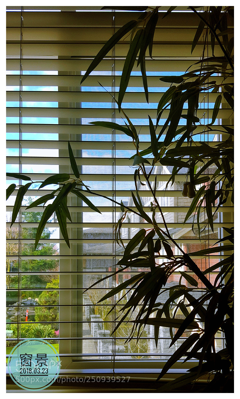 Samsung Galaxy S6 sample photo. Window scene photography