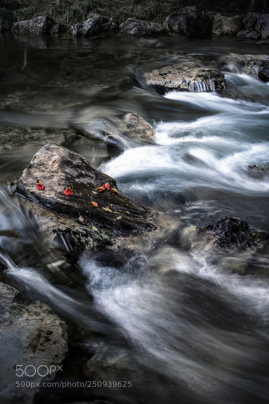 Sony a7R III sample photo. Taiziwan #1 photography