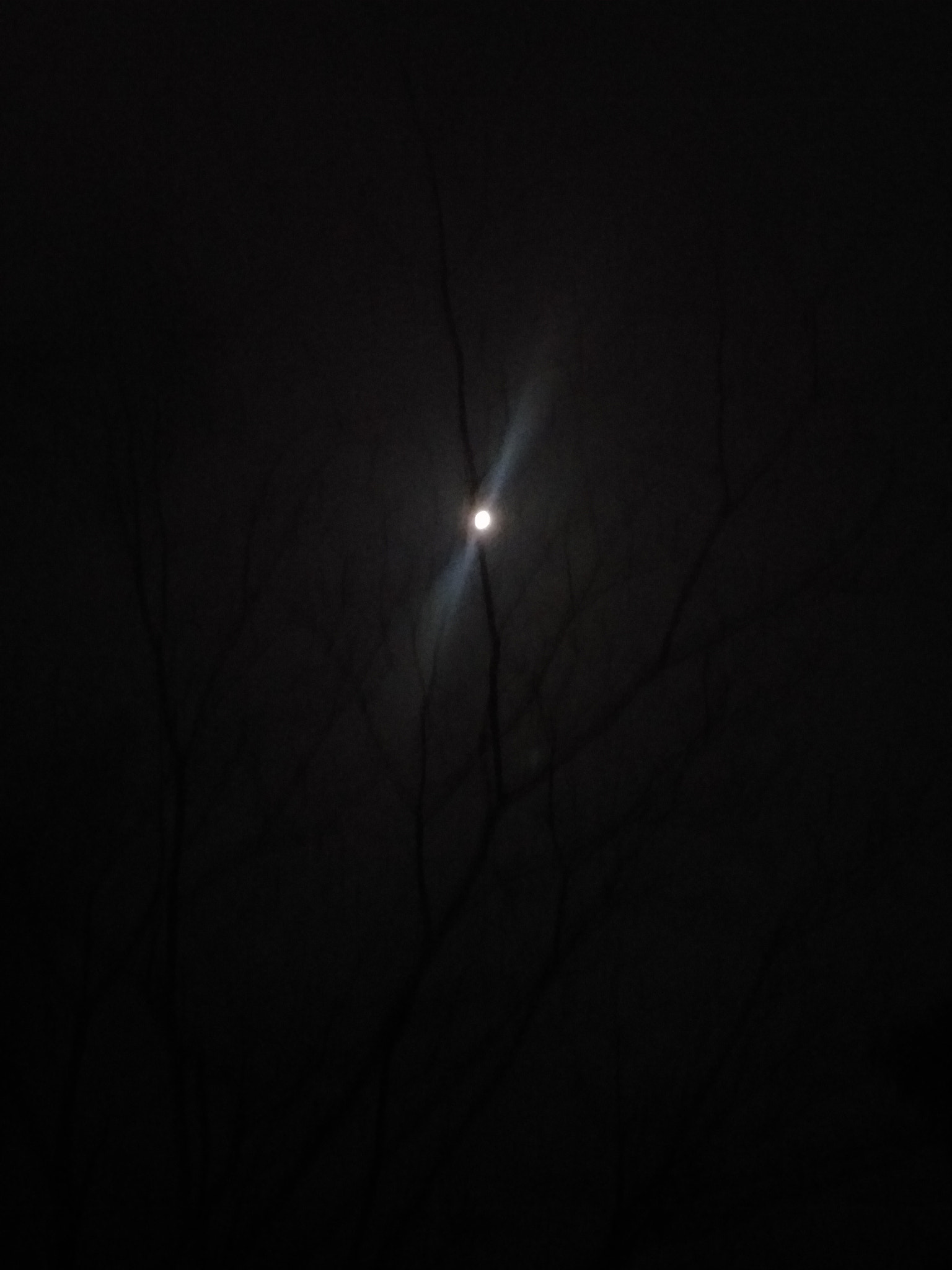 OPPO R9ST sample photo