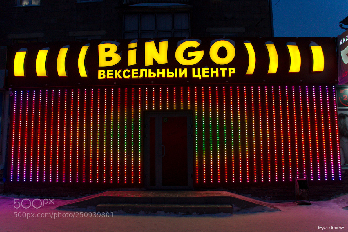 Nikon D7000 sample photo. Bingo! photography