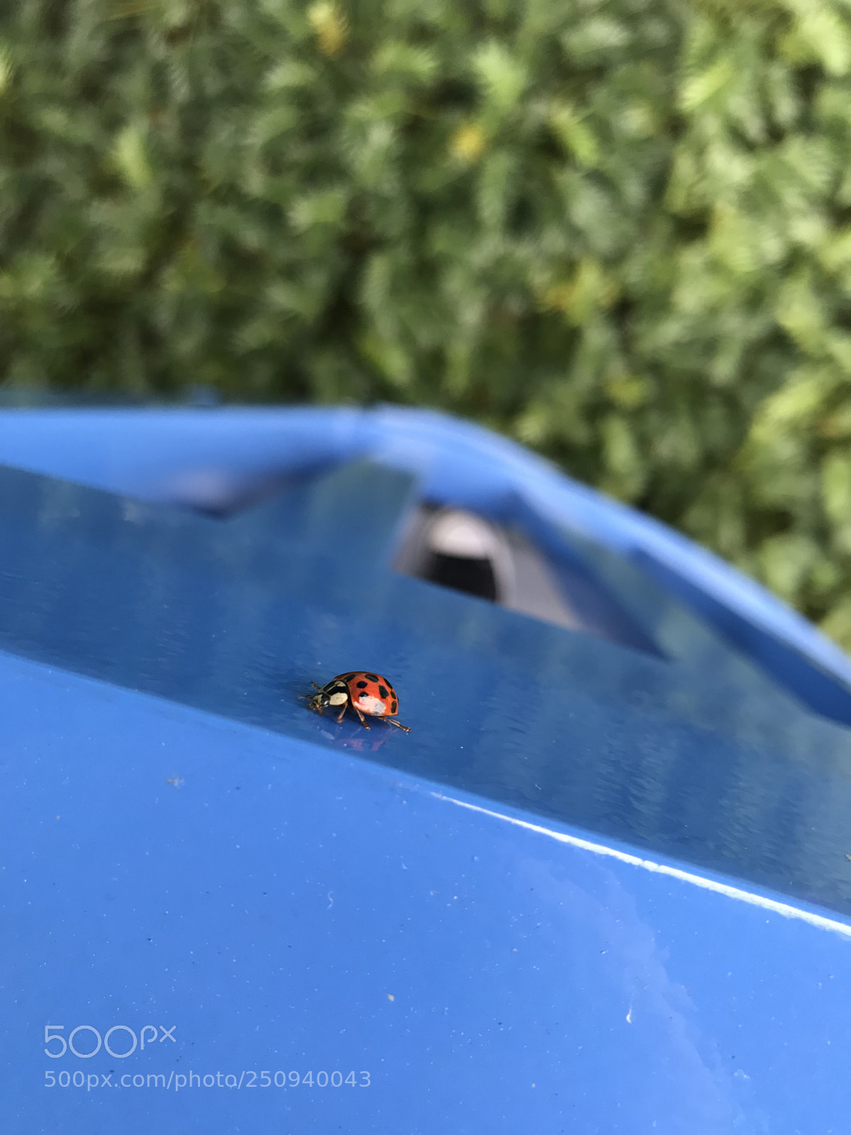 Apple iPhone 7 Plus sample photo. Untitled photography