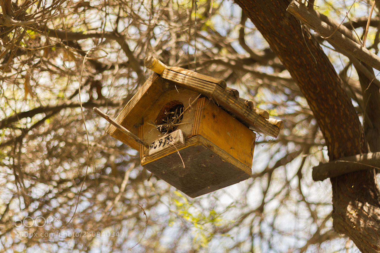 Canon EOS 7D sample photo. Pajarera photography